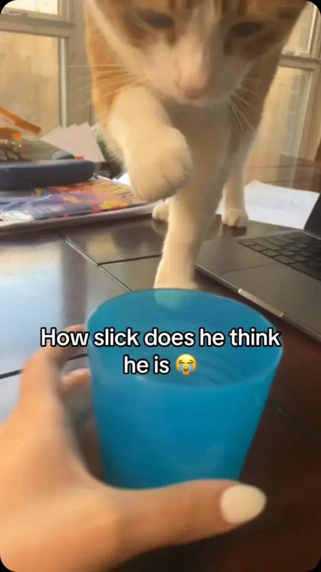 POV: you finally catch the reason your water alway
