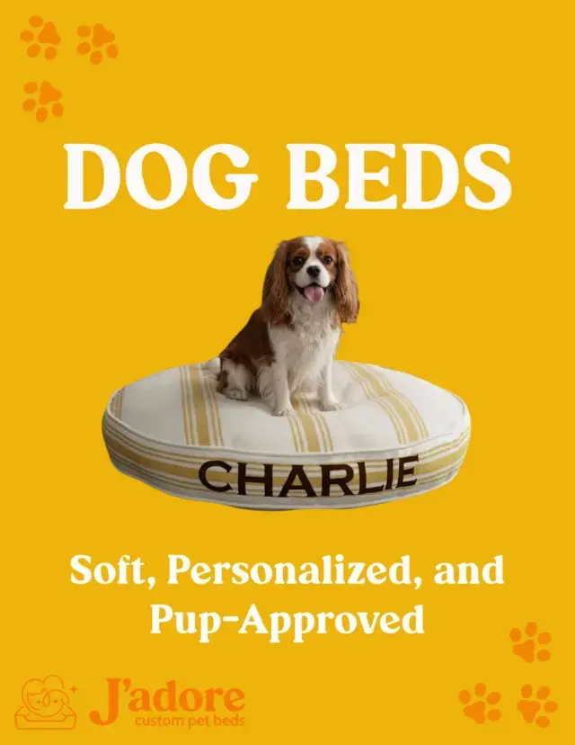 The perfect spot for your pup to relax in style πΆ