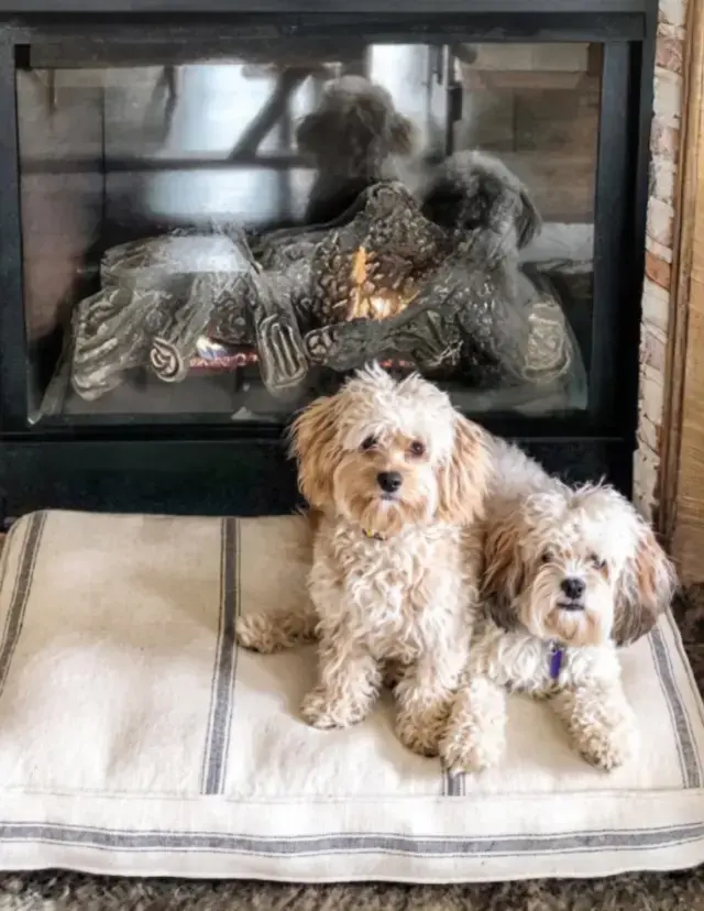 A cozy spot for all the sweetest fall naps ππΎ