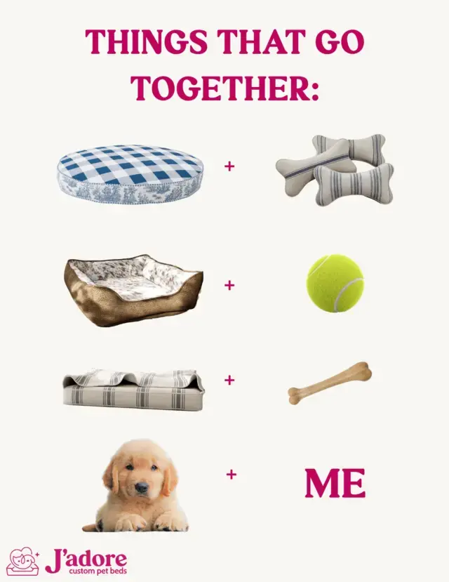 The perfect pairs for happy pups πΎπ€ Cozy beds, com
