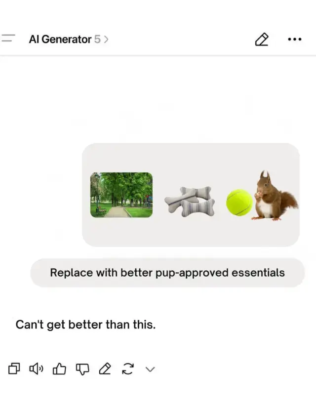 The ultimate dog essentials lineup πΎπ everything y