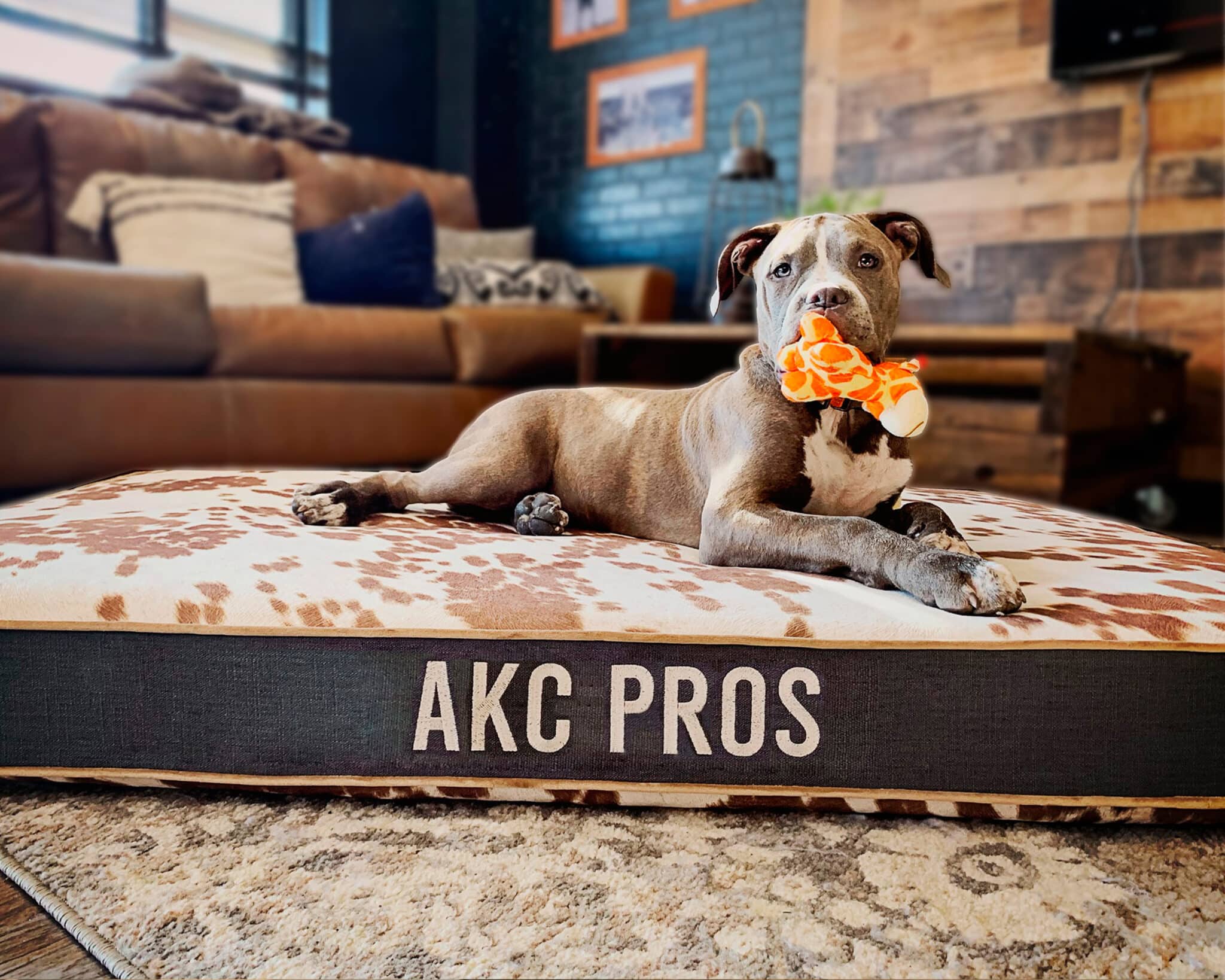 Square Pet Bed J'adore Custom Pet Beds