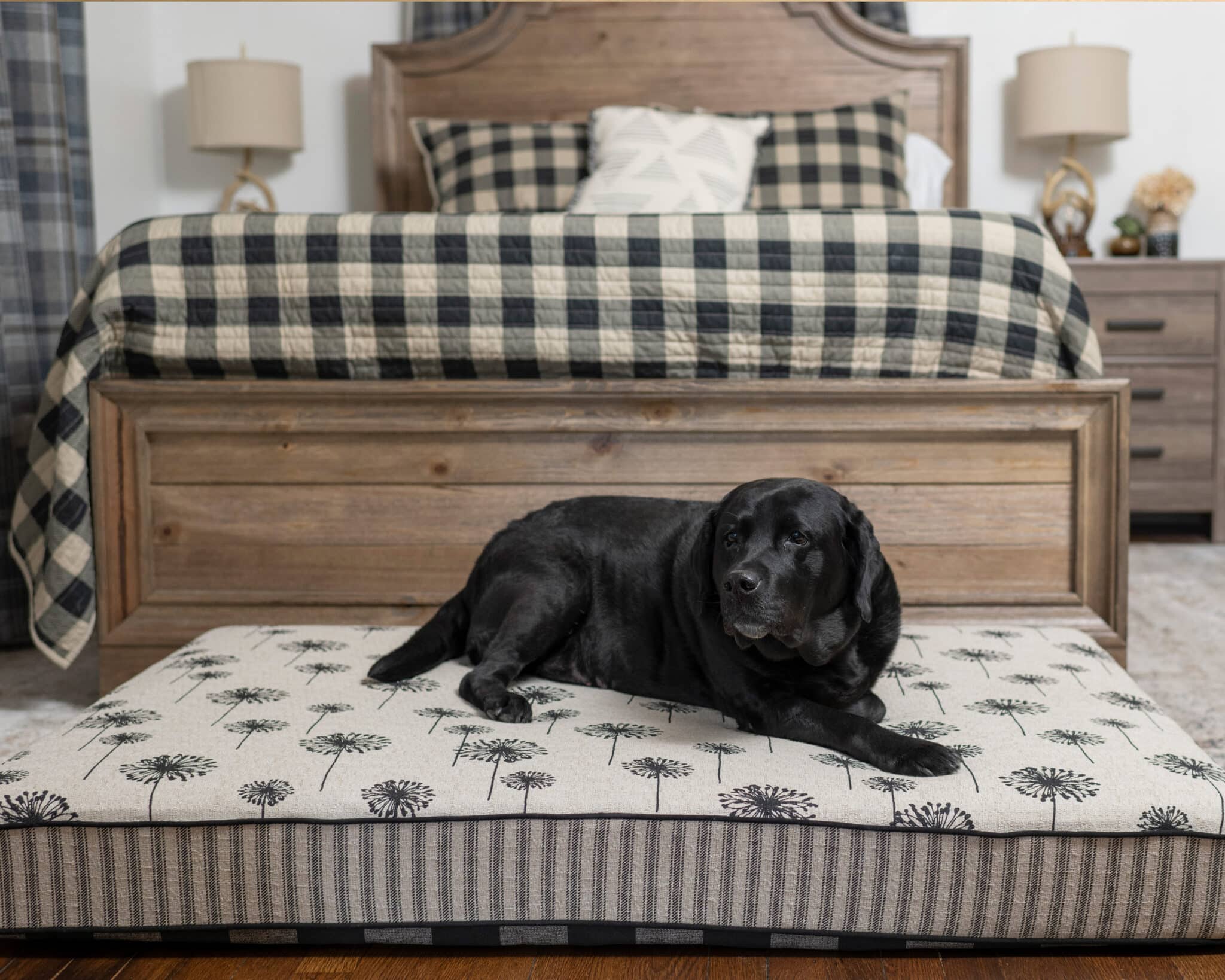 Rectangle Dog Bed Cushion J’adore Custom Pet Beds