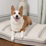 grain sack dog bed cushion
