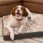 Orthopedic Memory Faom Dog Bed Cushion with faux cowhide
