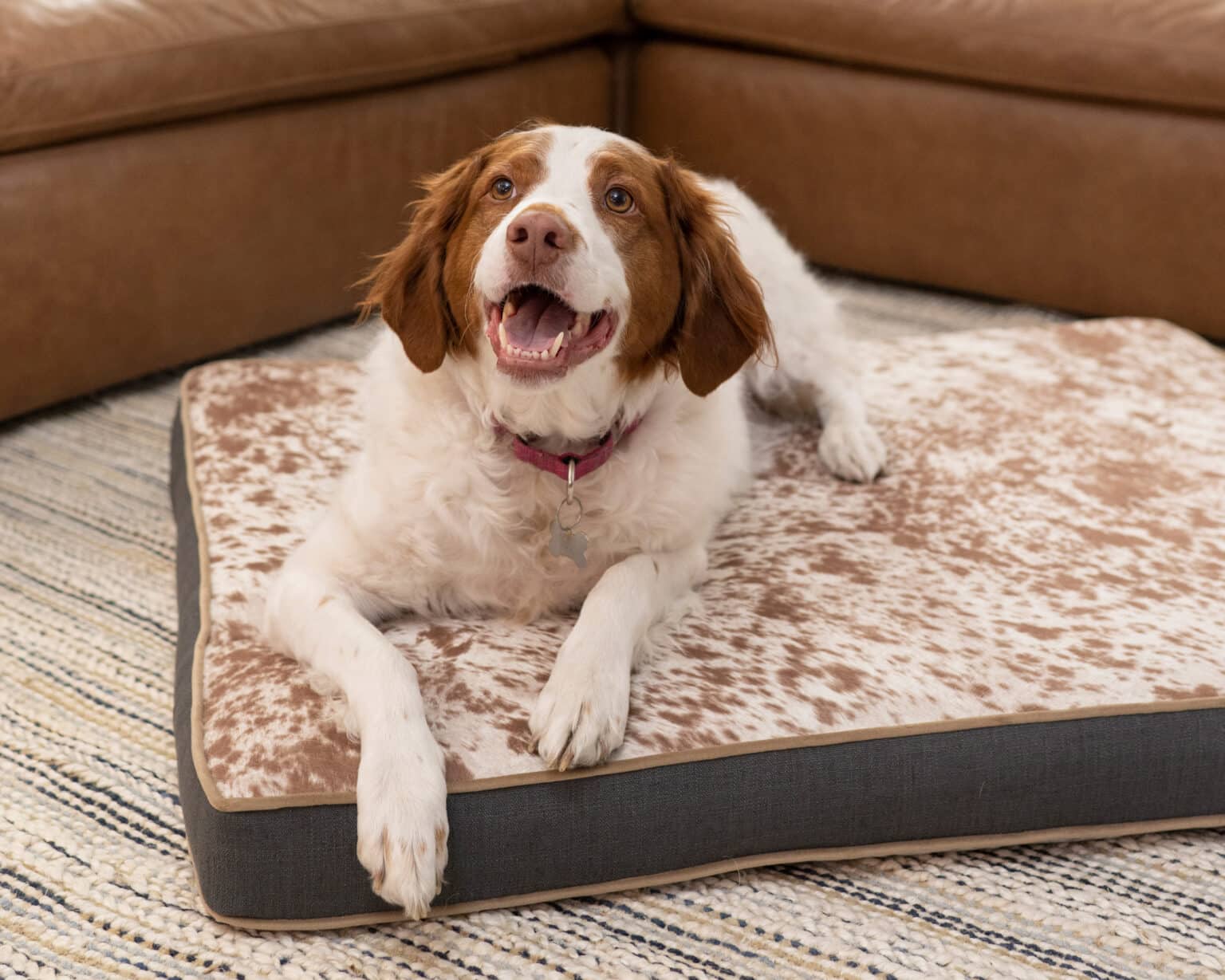 Square Pet Bed J'adore Custom Pet Beds
