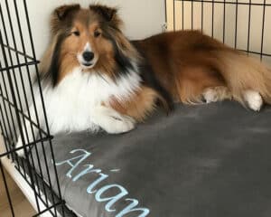 custom size crate pillow bed