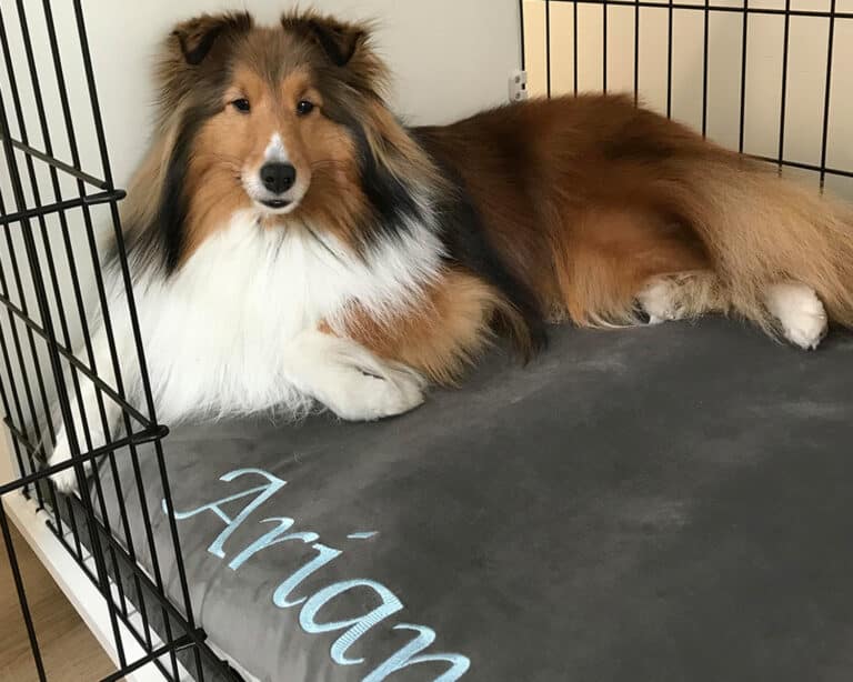 custom size crate pillow bed