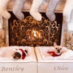 cozy christmas dog beds personalized