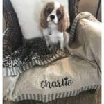 custom dog blanket embroidery