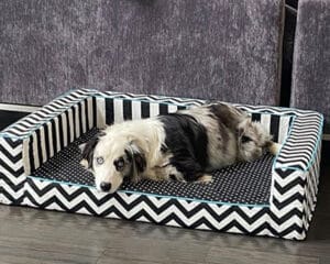 large edgy dog bed high density foam