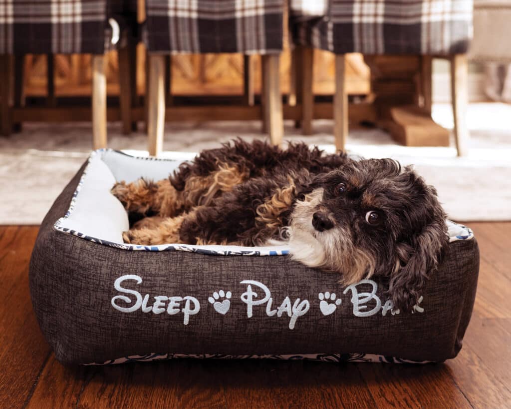 personalized cozy dog bed