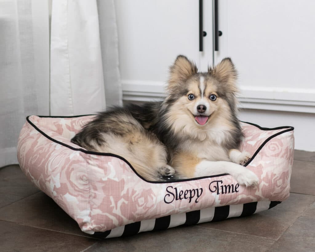 Small Pink Black Dog Bed
