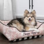 Small Pink Black Dog Bed
