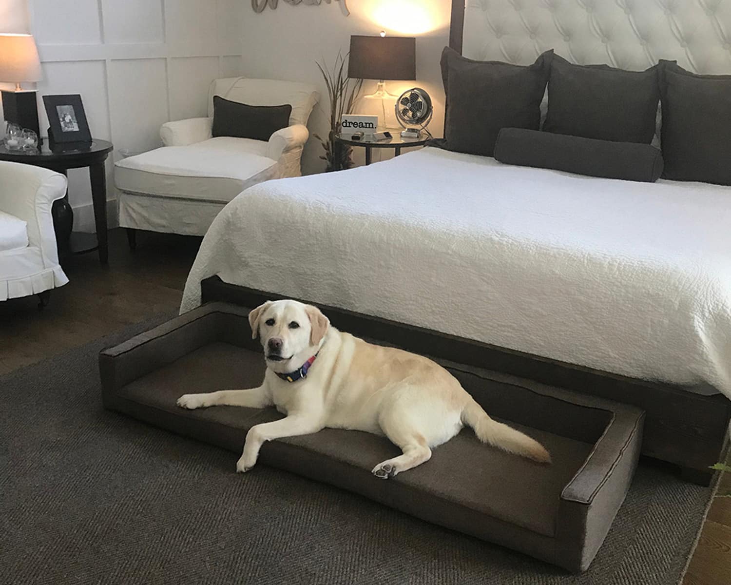 Custom size shop dog beds