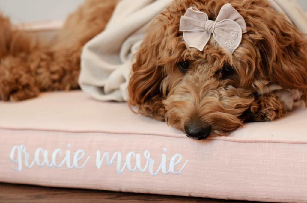 pink dog bed with name embroidery
