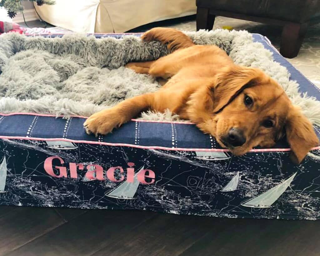 x-large personalized dog bed golden retriever