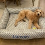COM customer own material dog bed personalized