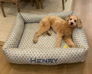 COM customer own material dog bed personalized