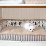 personalized custom size edgy dog bed