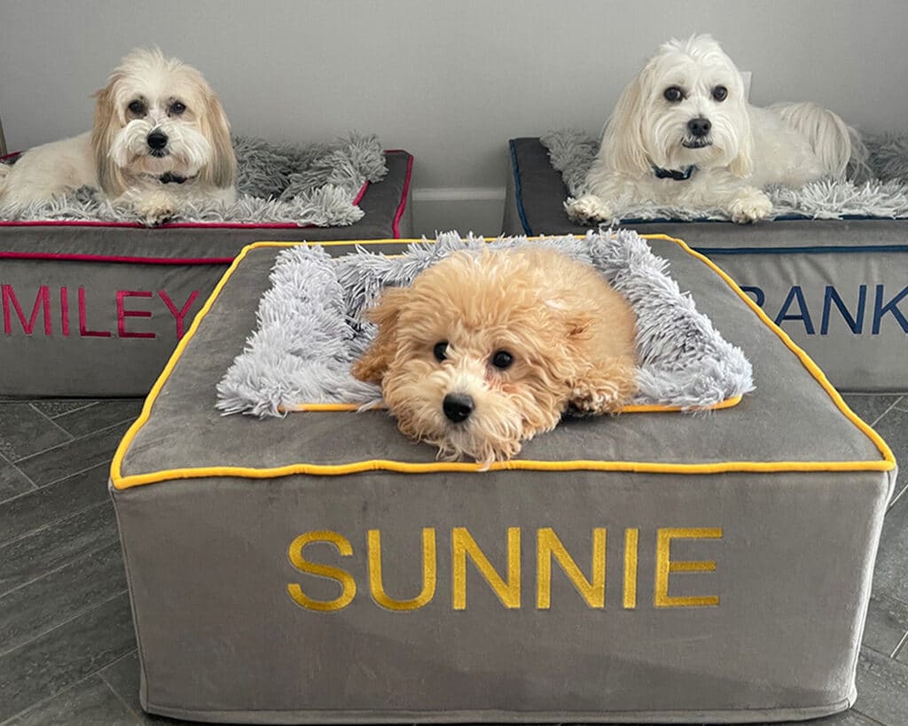 matching dog beds personalized