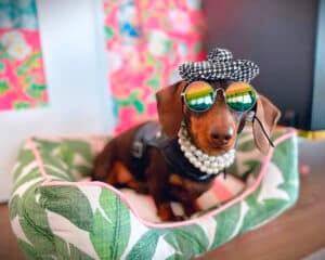 banana leaf pink green dog bed