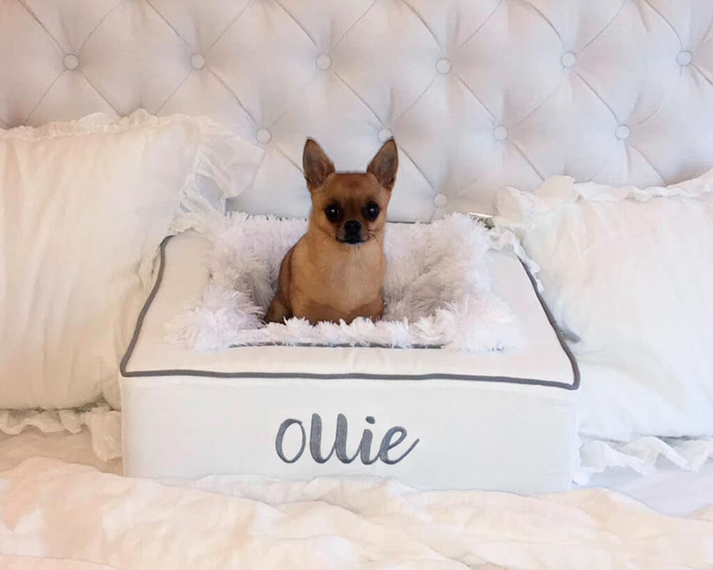 white grey personalized dog bed elegant sleek