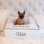 white grey personalized dog bed elegant sleek