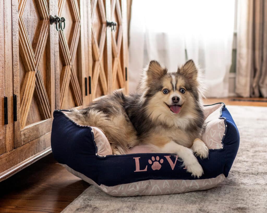 navy blue pink custom dog bed