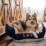 navy blue pink custom dog bed