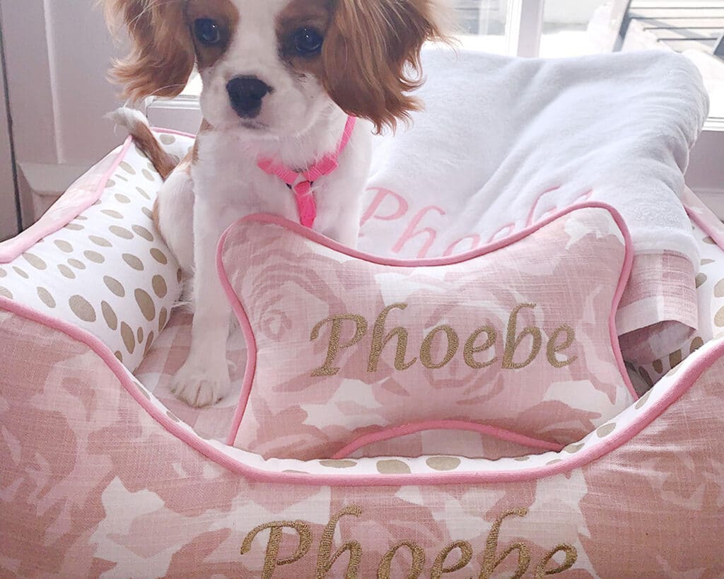 small dog bone pillow pink white