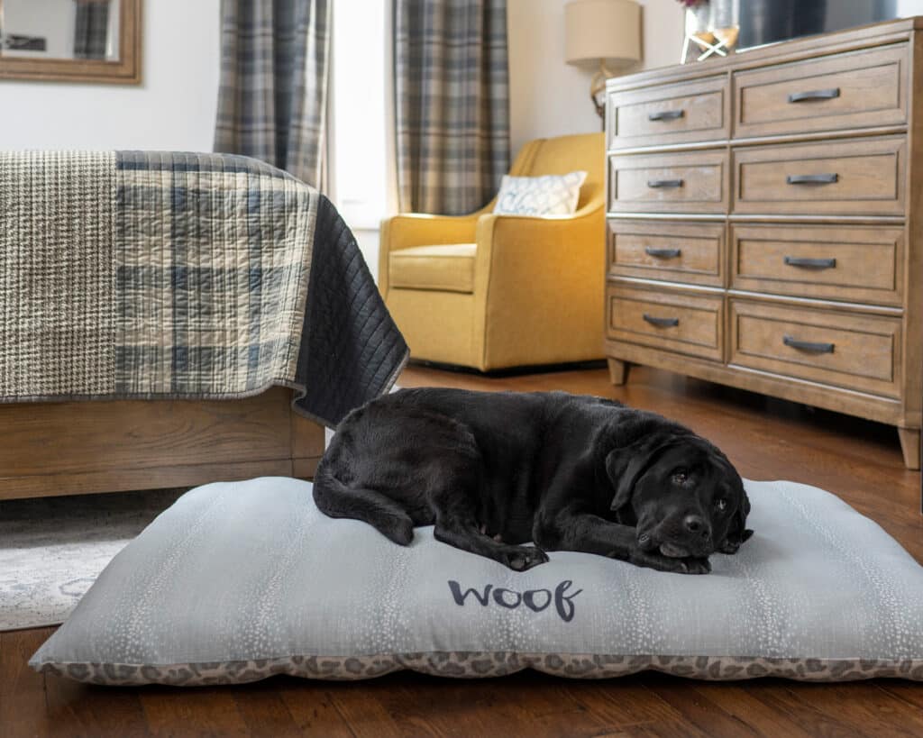 x-large pillow dog bed