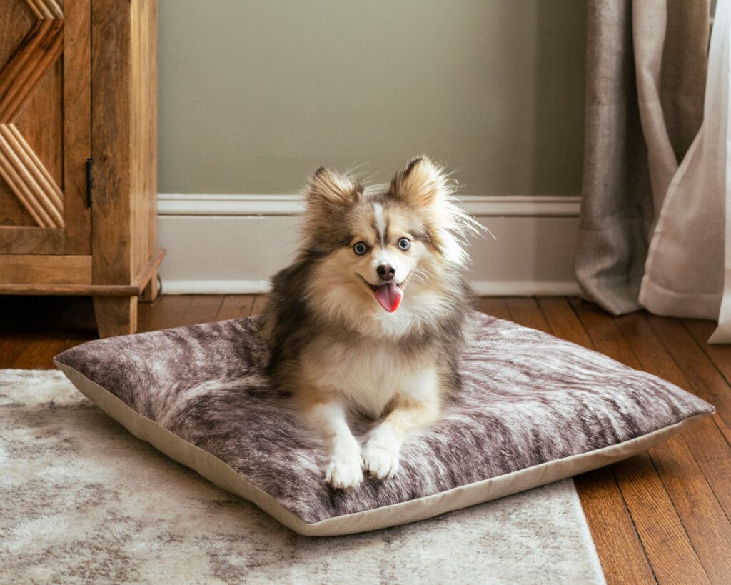 small western dog bed pillow