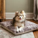 small western dog bed pillow