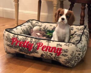 french country farmhouse dog bed toile linen black