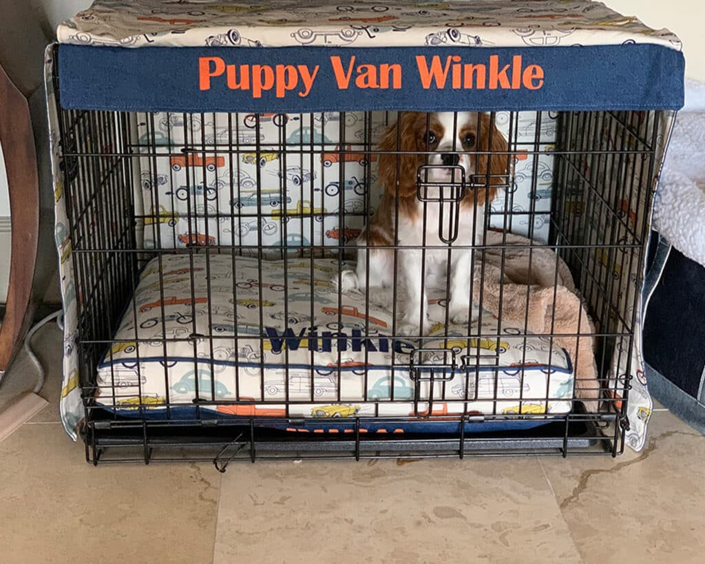 matching bed and crate cover