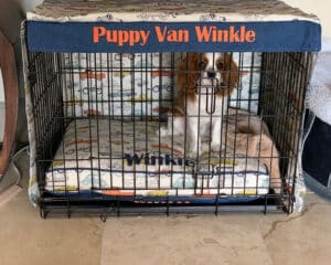 matching bed and crate cover