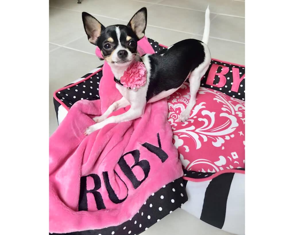 personalized dog blanket pink black