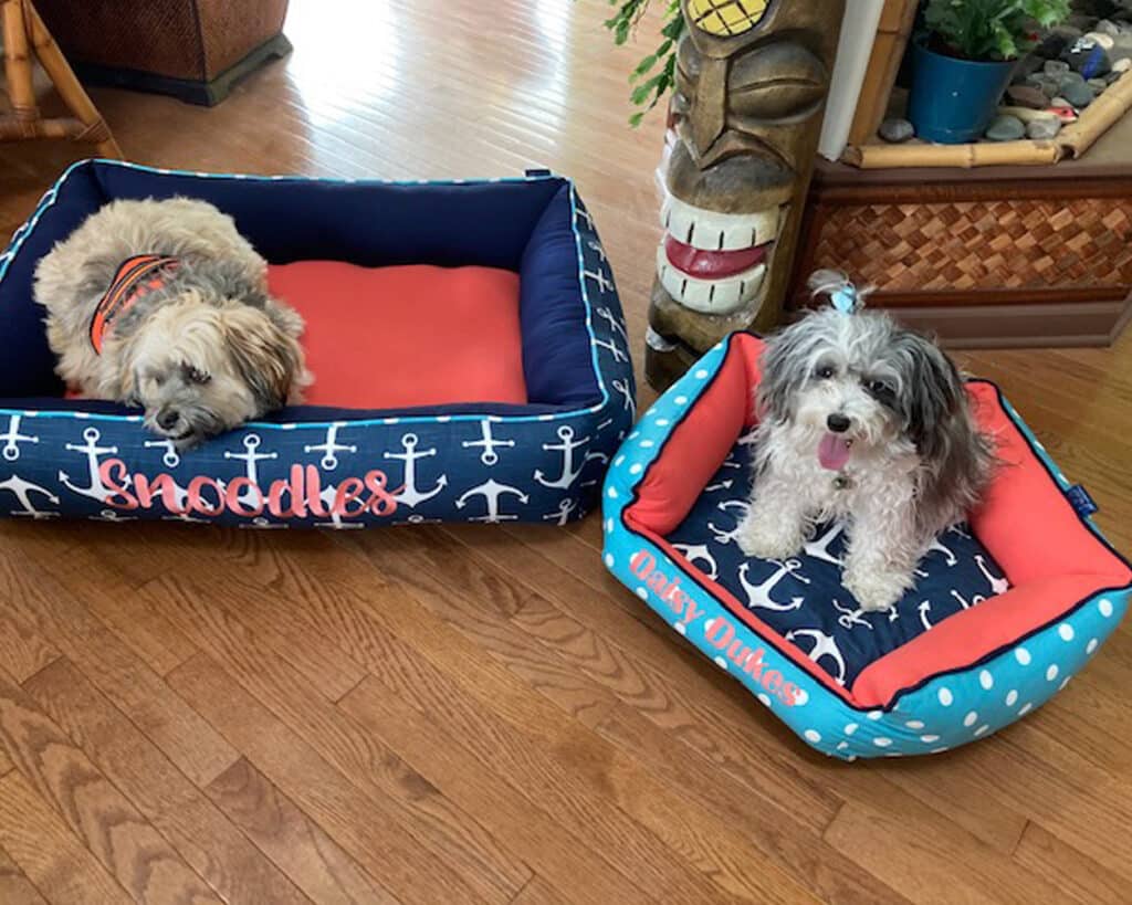 coastal dog beds