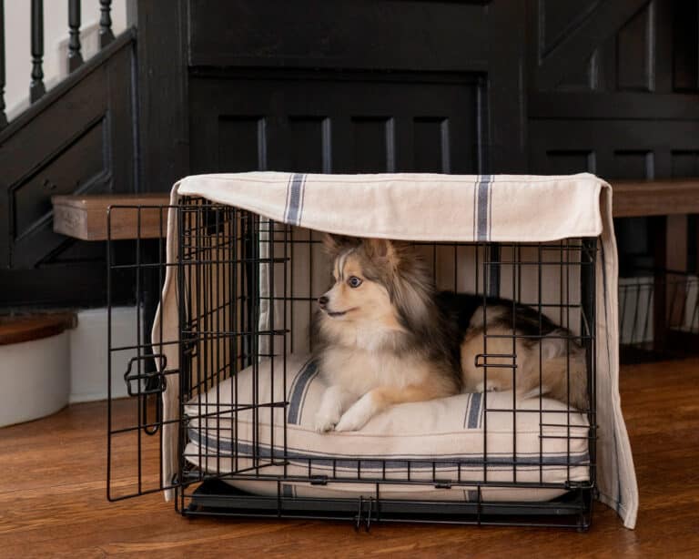 Dog Crate Cover J'adore Custom Pet Beds