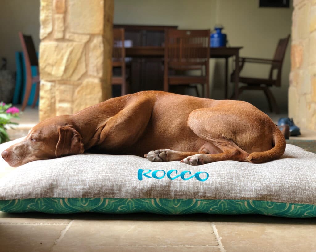large pillow dog bed