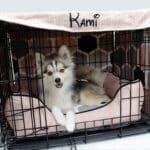 matching bed and crate cover personalized