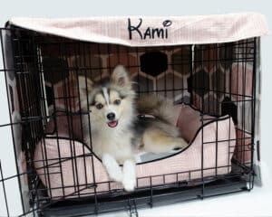 matching bed and crate cover personalized