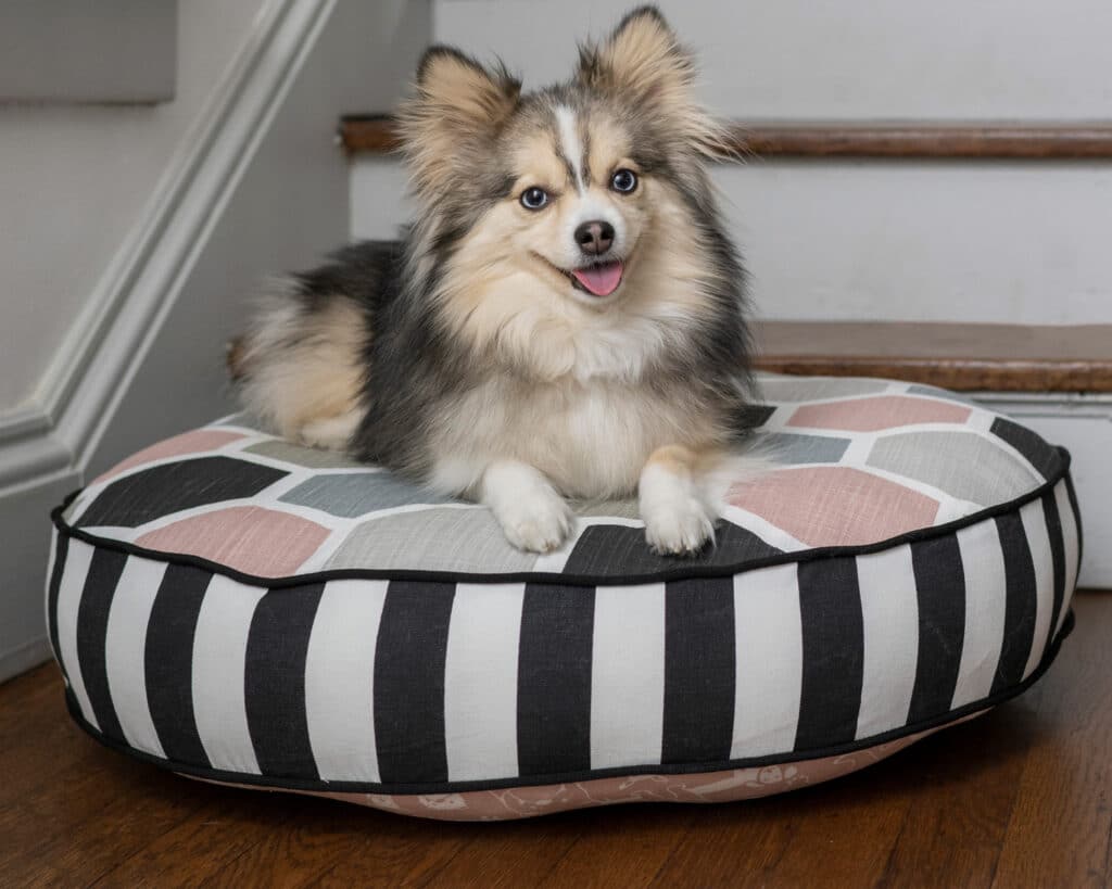 small round dog bed
