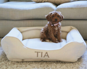 Feedsack Cuddle Bed in Tan Stripe