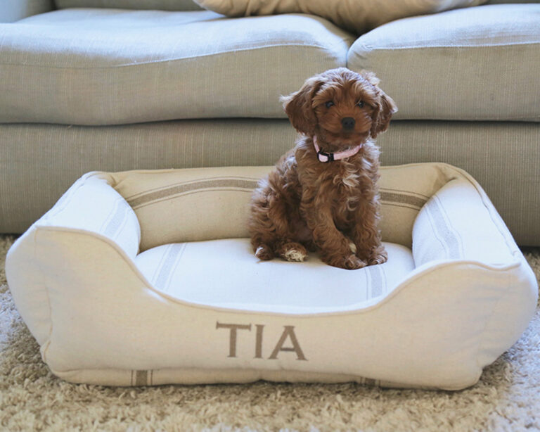 Feedsack Cuddle Bed in Tan Stripe