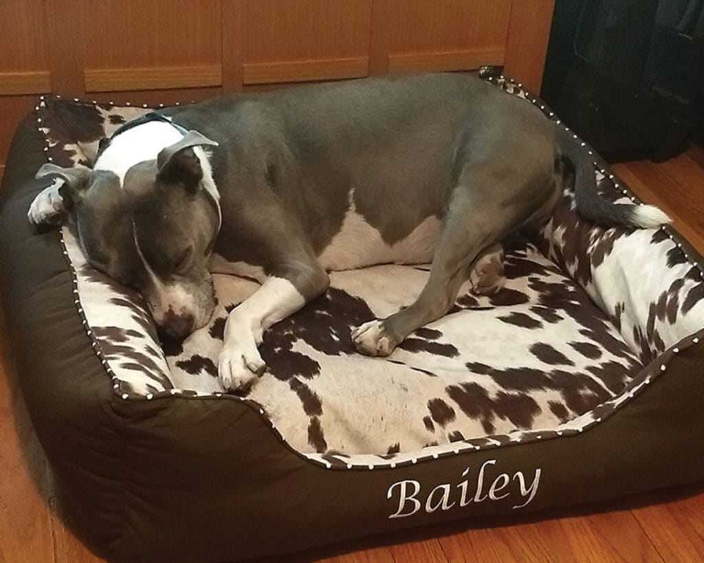 large faux cowhide dog bed