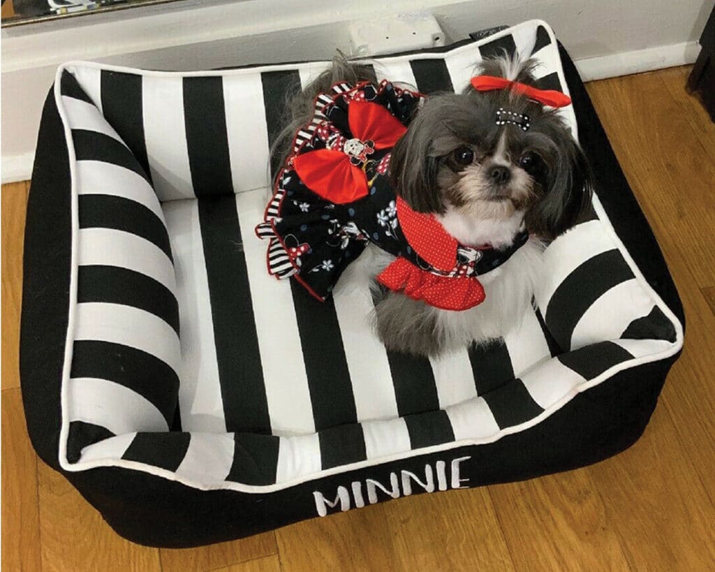 black and white personalized dog bed