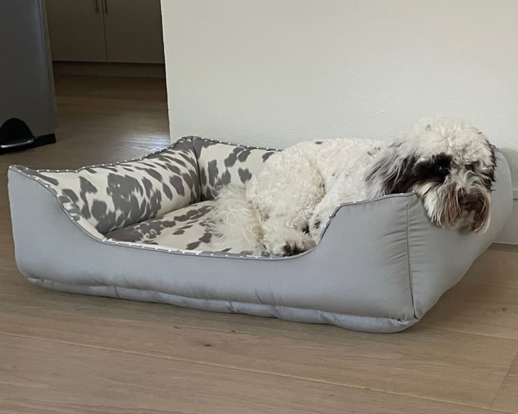 grey faux cowhide cuddle dog bed