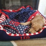 x-large patriotic dog bed with pillow and blanket